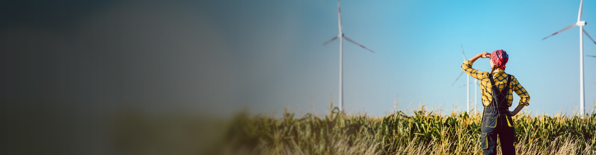 Green Financing BGL BNP Paribas Luxembourg BH